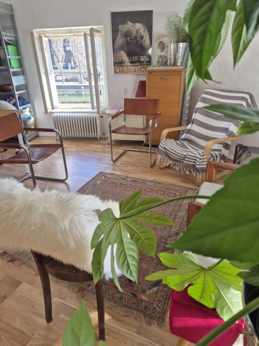 Galeriebild 3